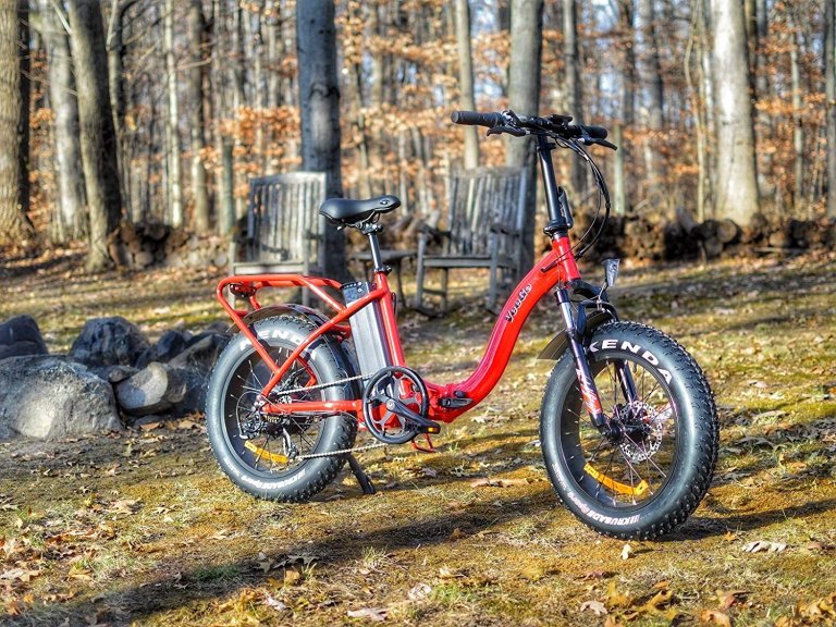 veego electric bike