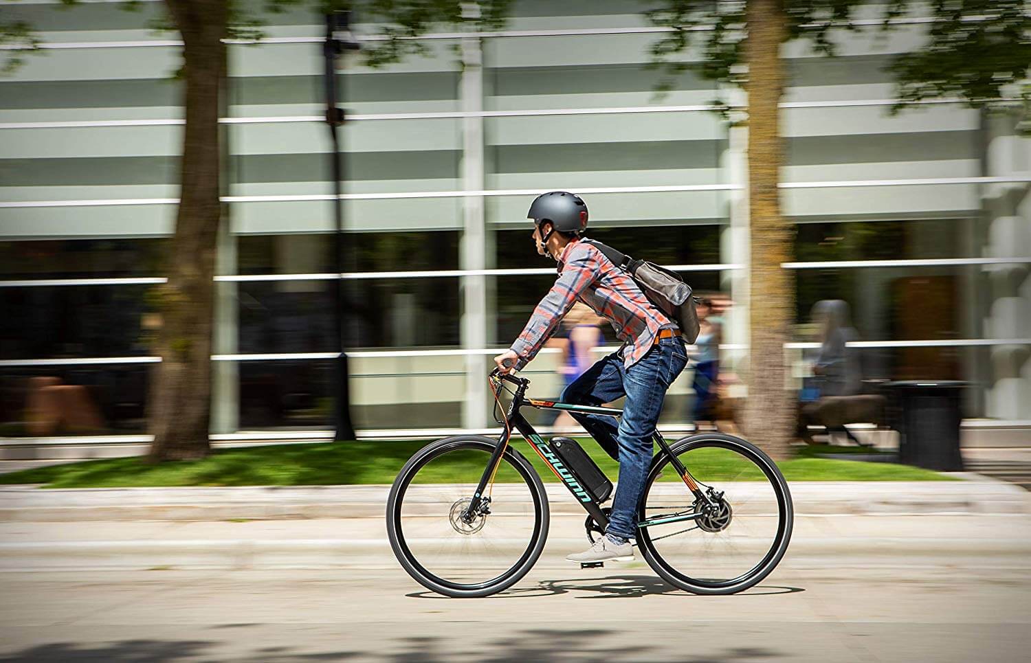 schwinn monroe 250 watt