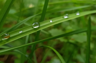 Eco Friendly Additions to Your Life
