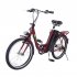Hover Way Electric City Bike 250W