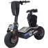 EW-08 Fat Tire Scooter – White body Black Fender