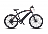 ProdecoTech Phantom X R V5 36V600W 8 Speed Electric Bicycle 14Ah
