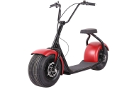 SEEV-800 Electric Lifestyle Fat Tire Scooter 800w