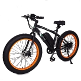 ECOTRIC Fat Tire Electric Off Road & Mountain Bike