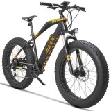 MZZK 500W Electric Mountain Snow Bike